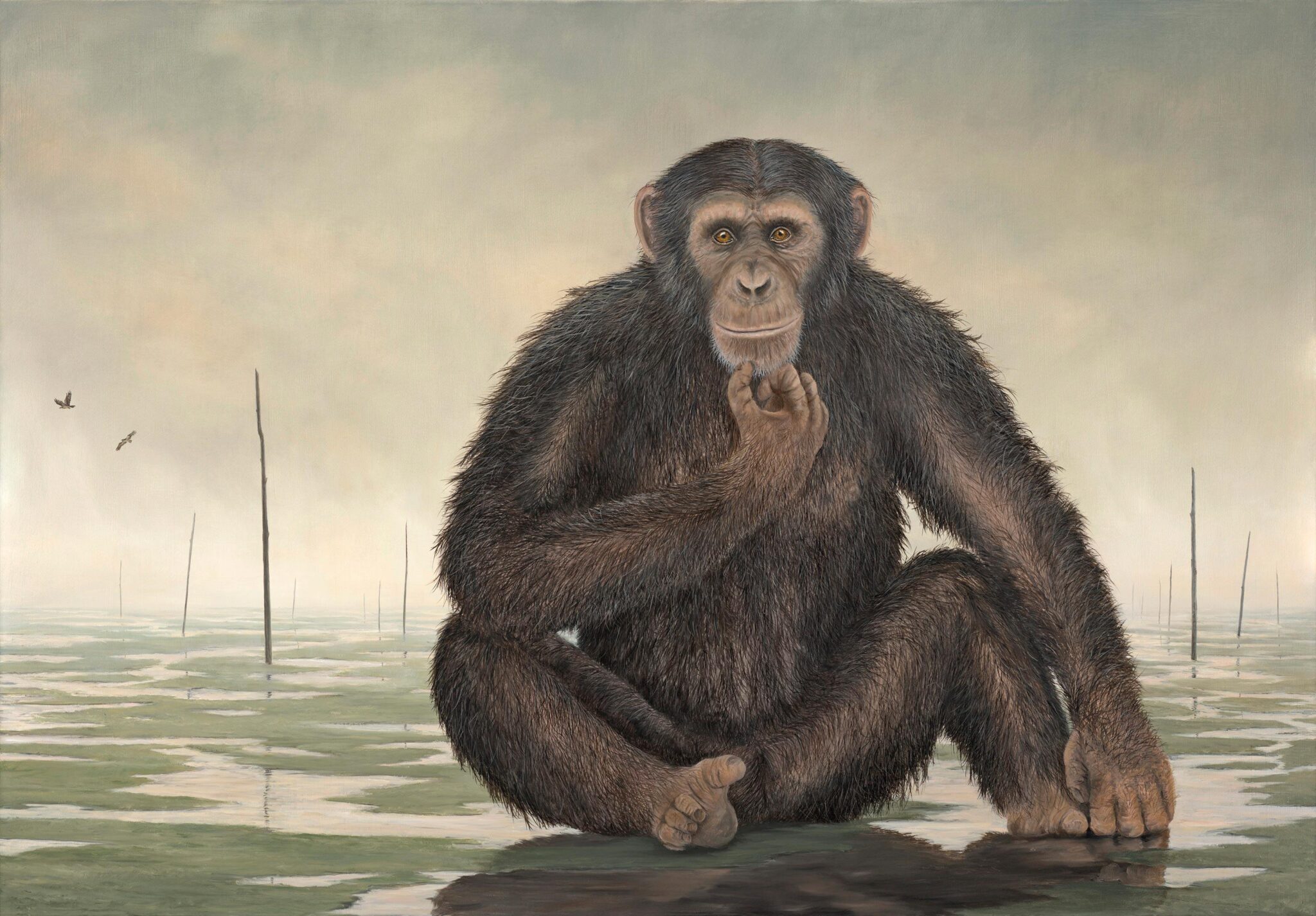 The Nomad Picture This Framing & Gallery