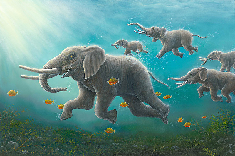 The Race - Robert Bissell