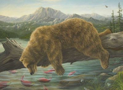 The Reflection - Robert Bissell