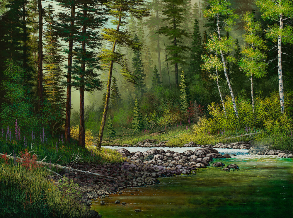 The Summer Creek