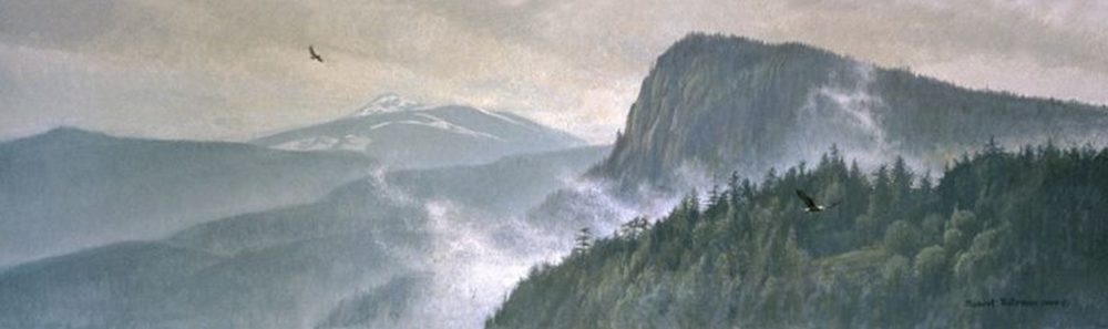 Thinking Like a Mountain