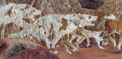 Three Wolves Judy Larson