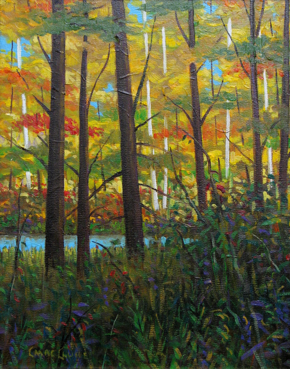 Through the Trees