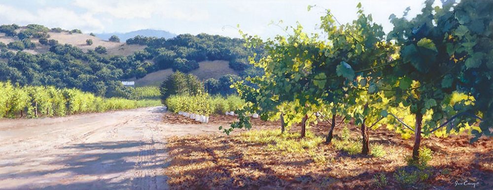 Through the Vines