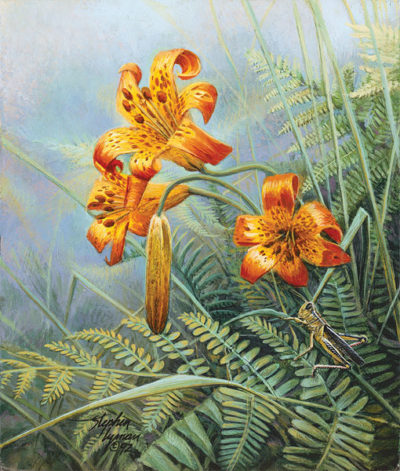 Tiger Lilies And Grasshopper Wildflower Suite Stephen Lyman