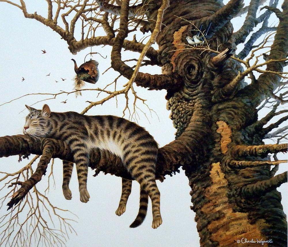 Too Pooped To Participate - Charles Wysocki