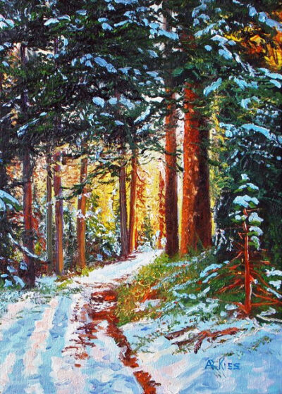 Trail To Assiniboine - Andrew Kiss