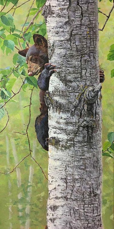 Tree Hugger - Jan Martin McGuire