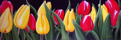 Tulip Grove - Dennis Magnusson