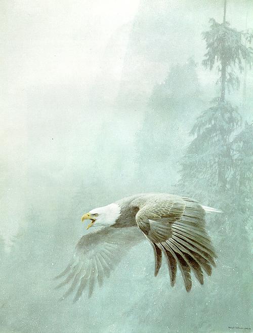 Vigilance - Robert Bateman