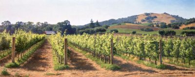 Vineyard Before The Harvest June Carey