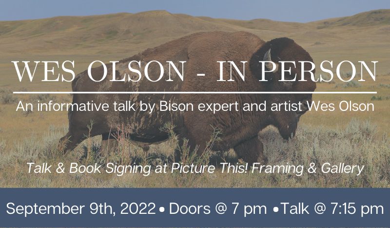 WES OLSON - IN PERSON (800 × 467 px) WES OLSON - IN PERSON (800 × 467 px)