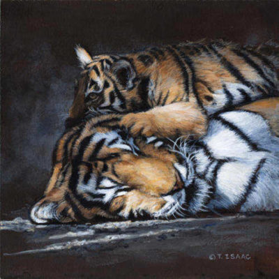 Warm Pillow Terry Isaac