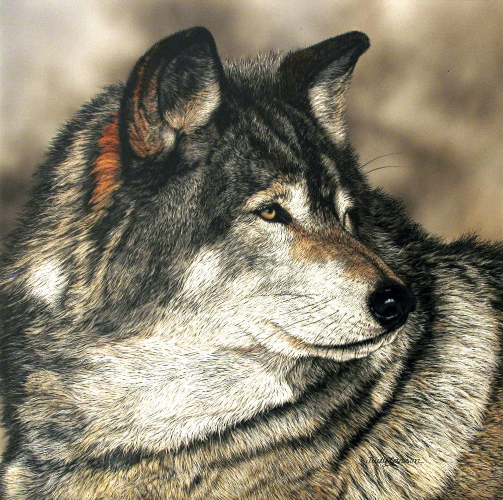 Watcher Wolf