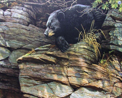 Watchful Repose - Robert Bateman