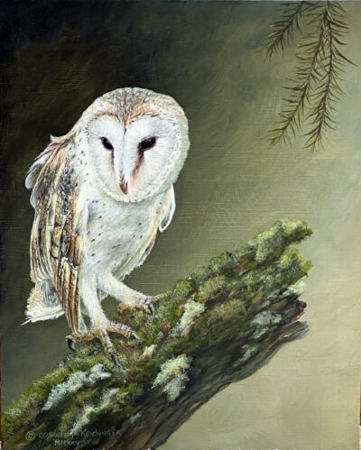 Owl