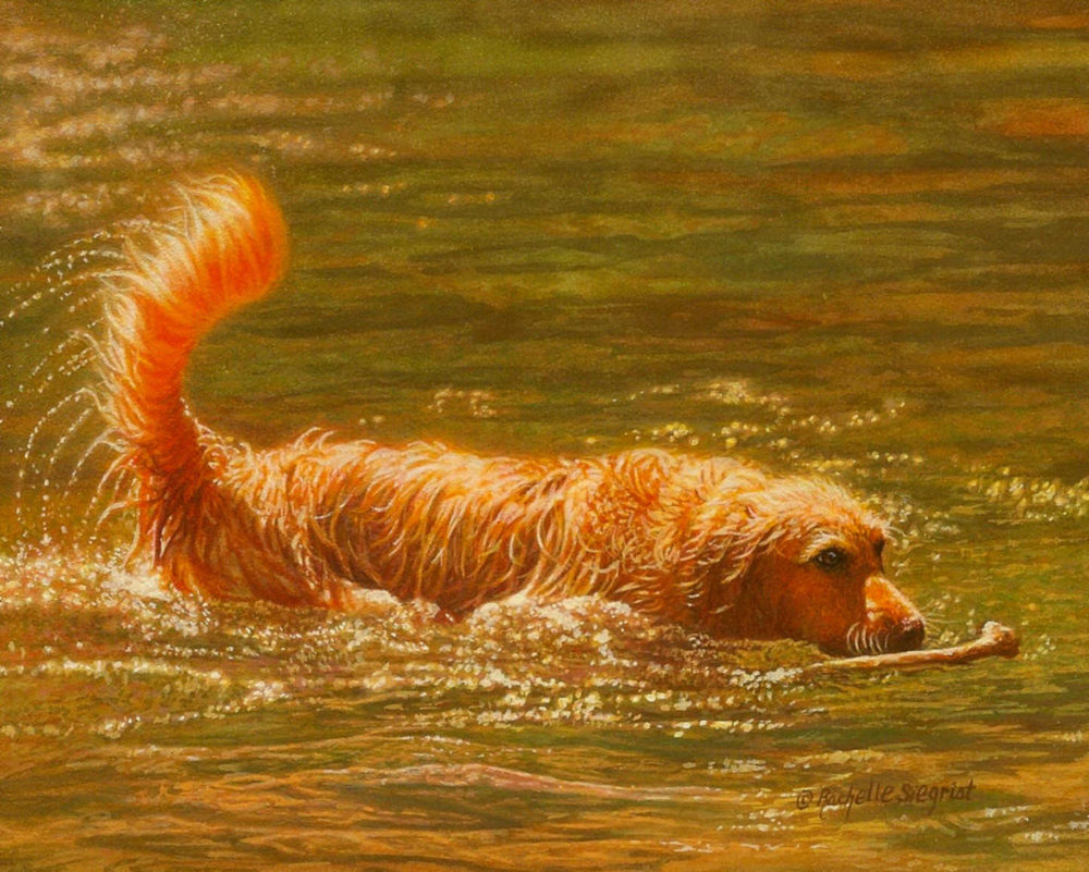 Water Baby