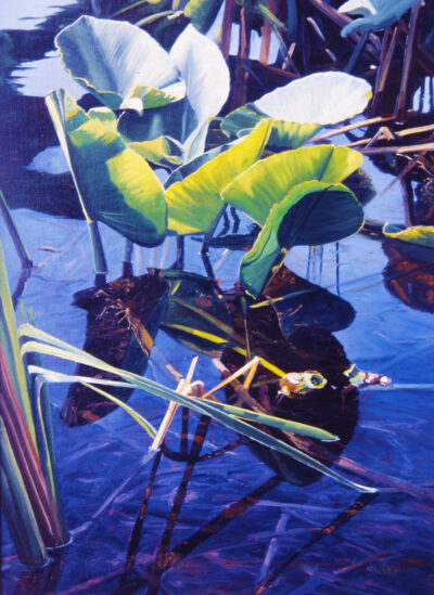 Water Shadows - Andrew Kiss