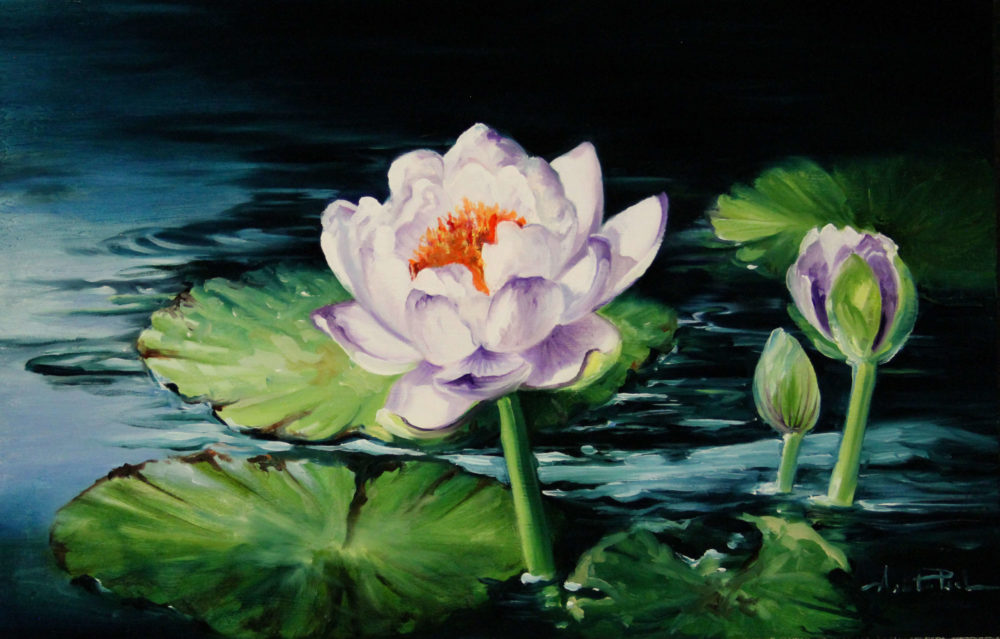 Waterlily Movement