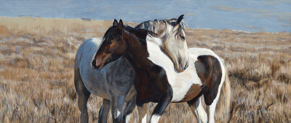 Western Companions Terry Isaac