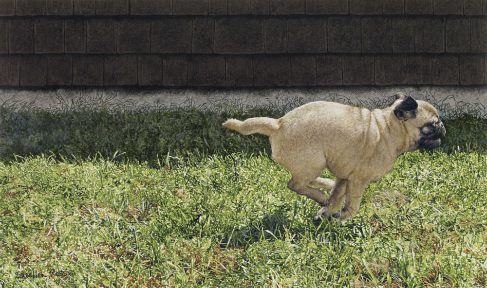 When Pugs Fly