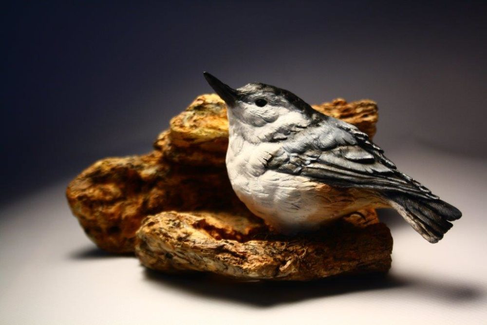 White-Breasted Nuthatch