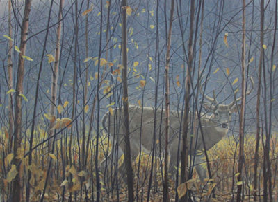 White-tailed Deer Through the Birches - Robert Bateman