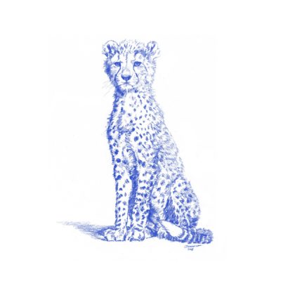 Wild Child - Cheetah - John Banovich