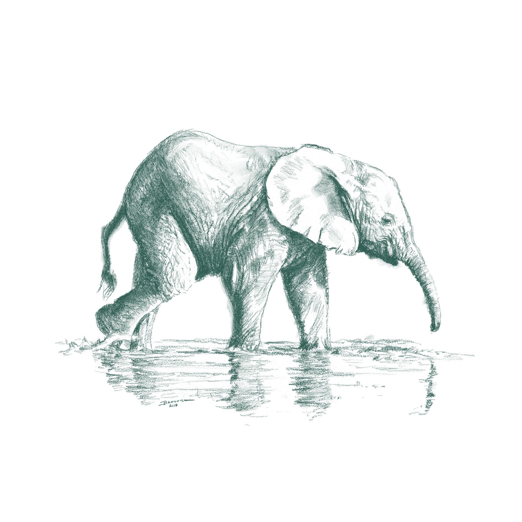 Wild Child - Elephant - John Banovich