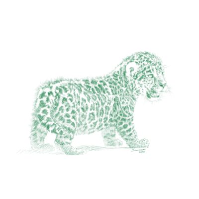 Wild Child - Jaguar - John Banovich