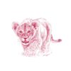 Wild Child - Lion - John Banovich