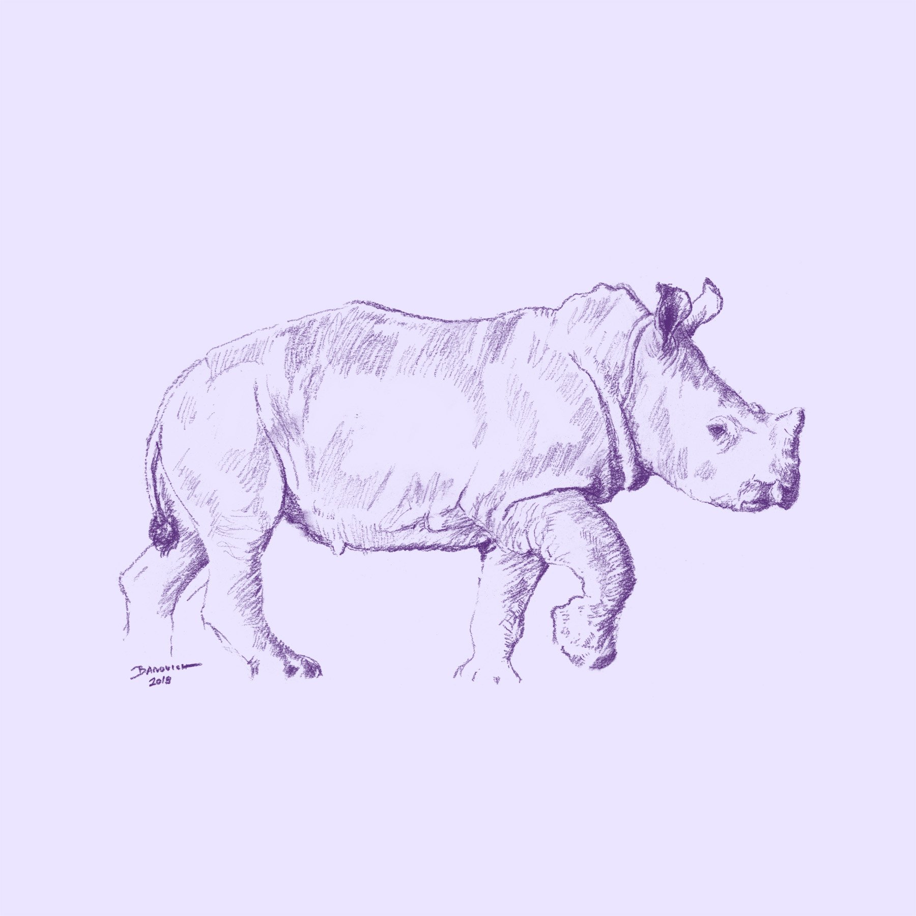 Wild Child - Rhino - John Banovich