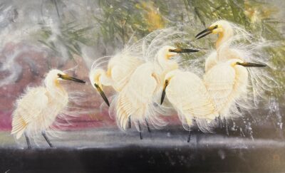 Cranes under the willow
