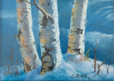 Winter Birch - Elsie Baer