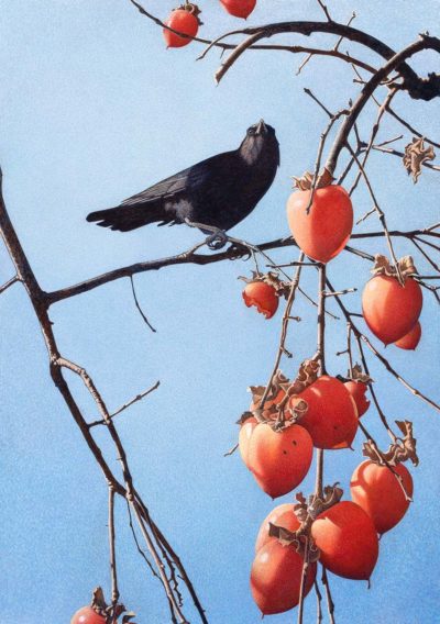 Winter Crow - Barbara Banthien