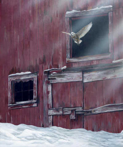 Winter Flight Terry Isaac