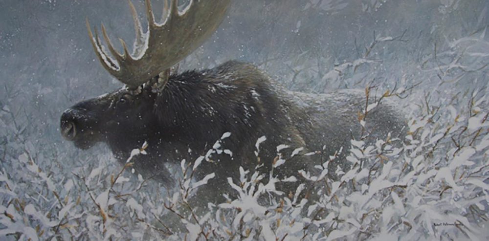 Winter Run - Bull Moose - Robert Bateman