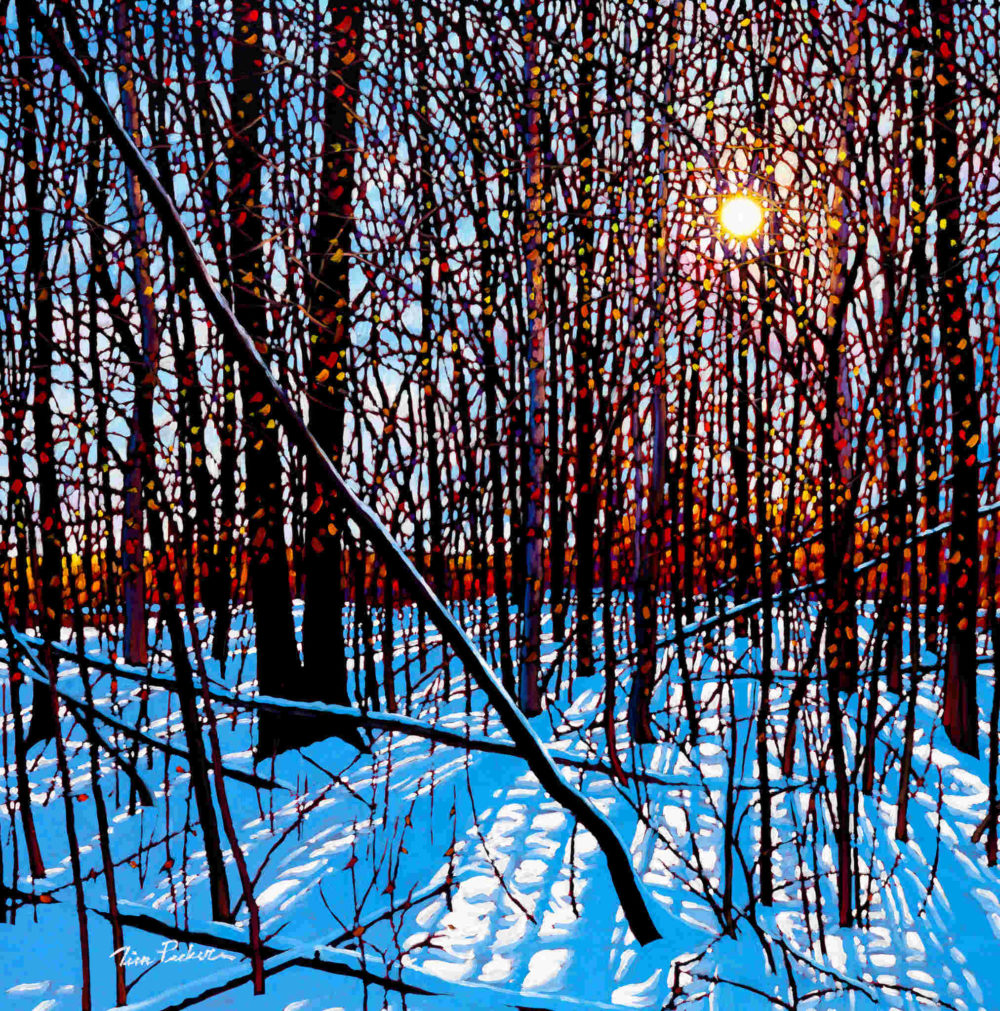 Winter Shine Tim Packer