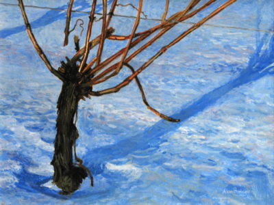 Winter Vineyard Alan Bateman