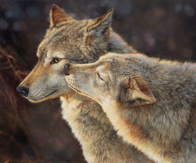 Wolf Kiss Bonnie Marris