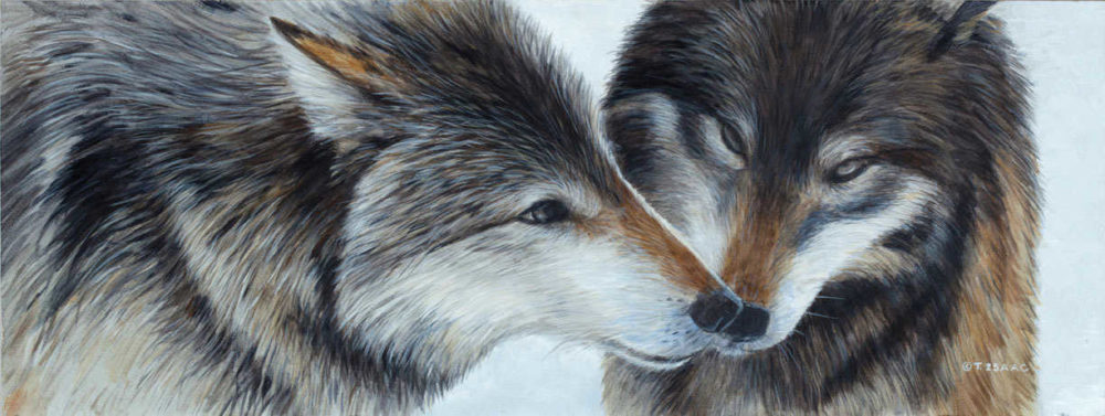 Wolf Love Terry Isaac