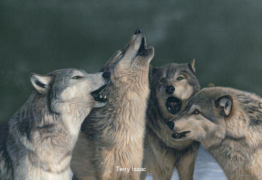 Wolf Song Terry Isaac