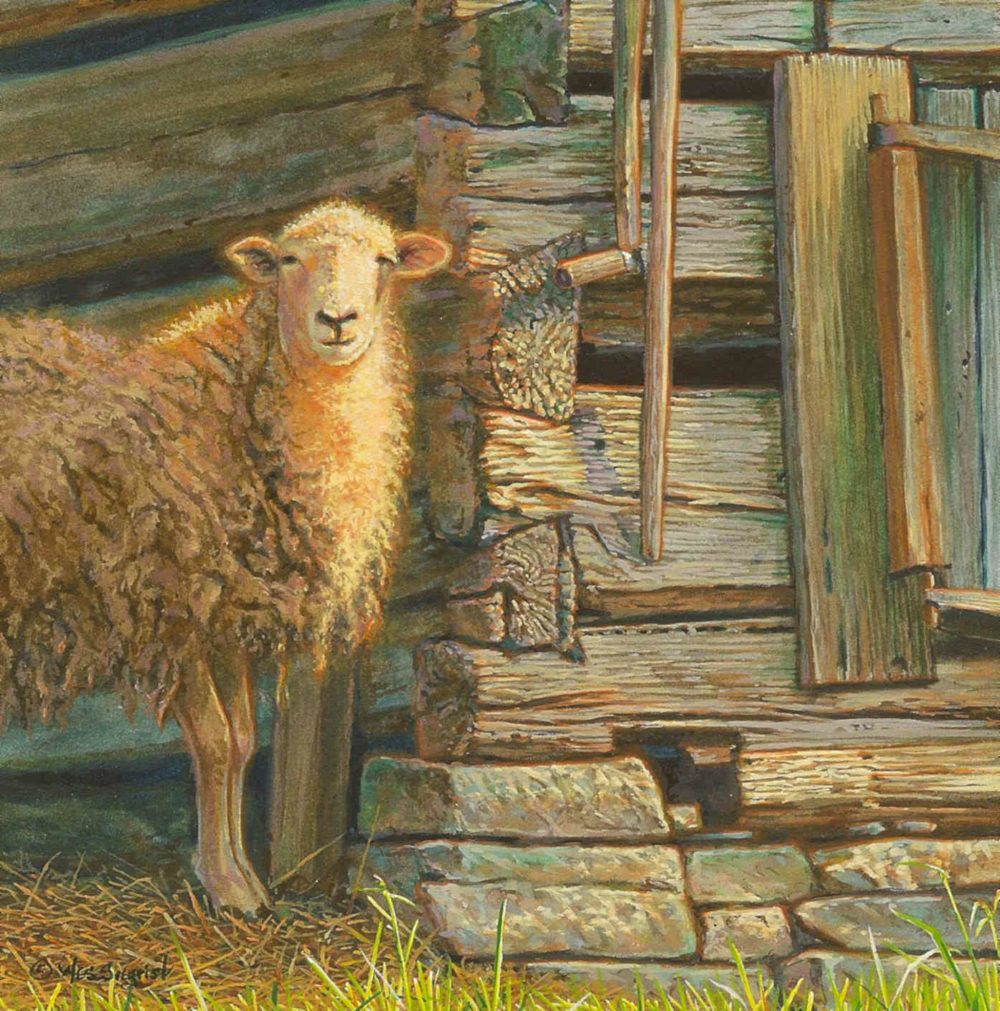 Wooly, Warmed And Weathered Wes Siegrist