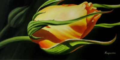 Yellow Rose Bud Dennis Magnusson