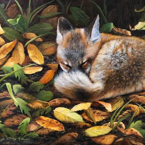 Autumn Snooze - Cindy Sorley-Keichinger
