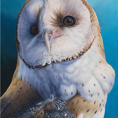 Larger than Life - Barn Owl - David N. Kitler