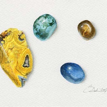 Polished Rock Collection - Charity Dakin