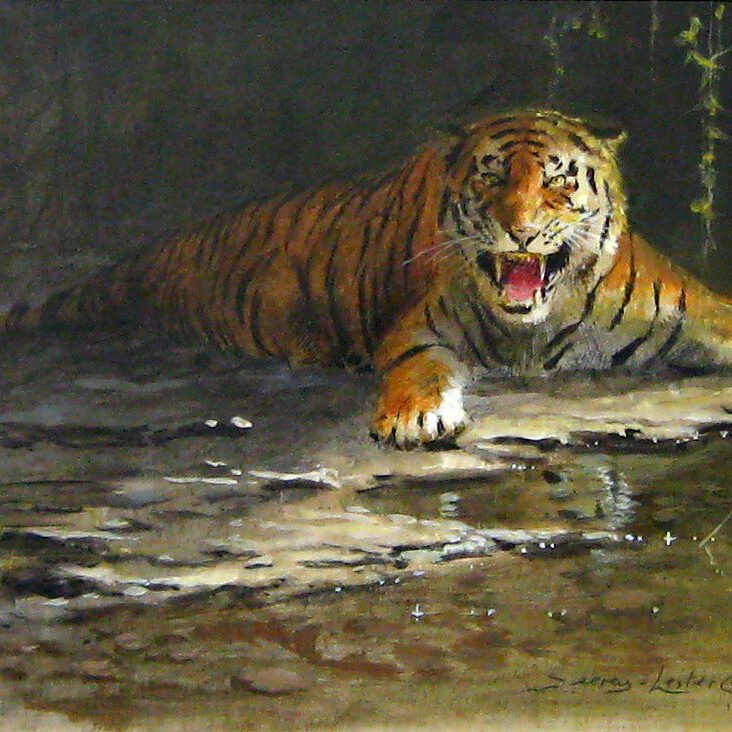 Study for Tiger Fear - John Seerey-Lester