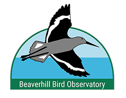 beaverhill bird observatory-logo