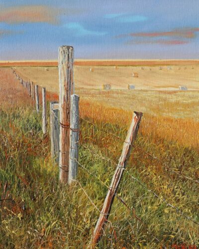 don't fence me in 12x6